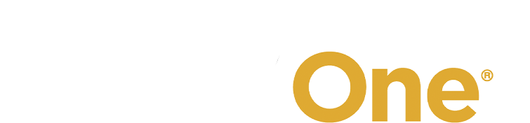 SAP Business ONE Logo